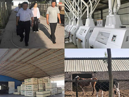 創(chuàng)新工作方式 主動服務(wù)企業(yè)——金控酒泉擔(dān)保全面開展駐點(diǎn)辦公